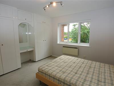 Picture 13